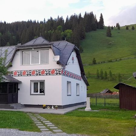 Villa Casa Dumitru si Elena Ciocanesti Exterior foto