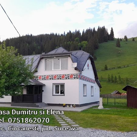 Villa Casa Dumitru si Elena Ciocanesti Habitación foto