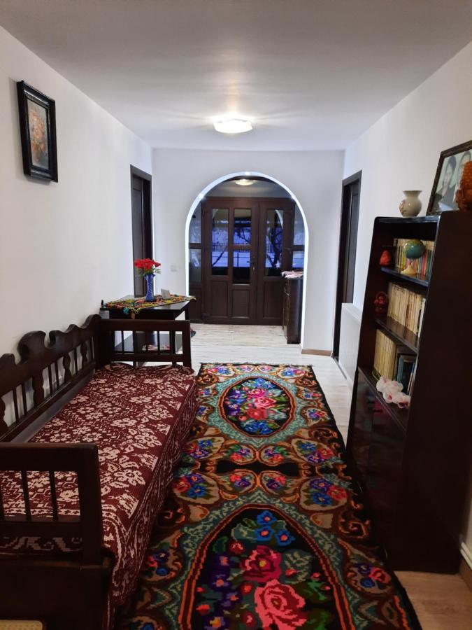 Villa Casa Dumitru si Elena Ciocanesti Exterior foto