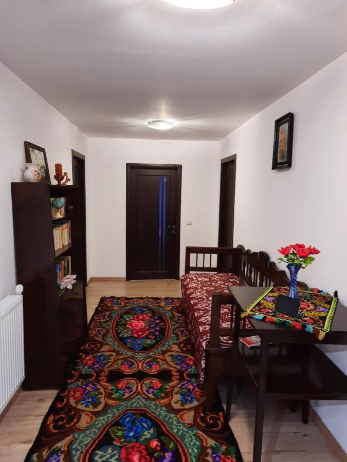 Villa Casa Dumitru si Elena Ciocanesti Exterior foto