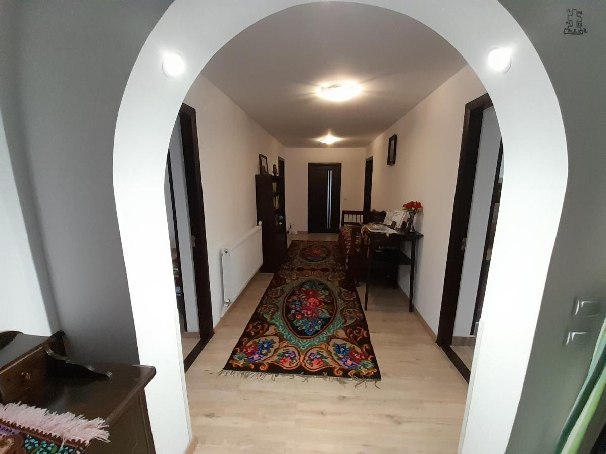 Villa Casa Dumitru si Elena Ciocanesti Exterior foto