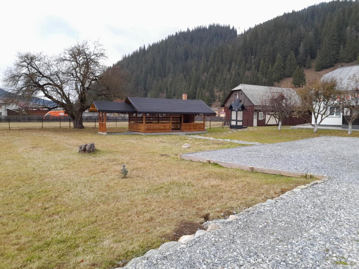 Villa Casa Dumitru si Elena Ciocanesti Exterior foto