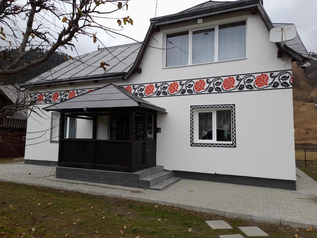 Villa Casa Dumitru si Elena Ciocanesti Exterior foto