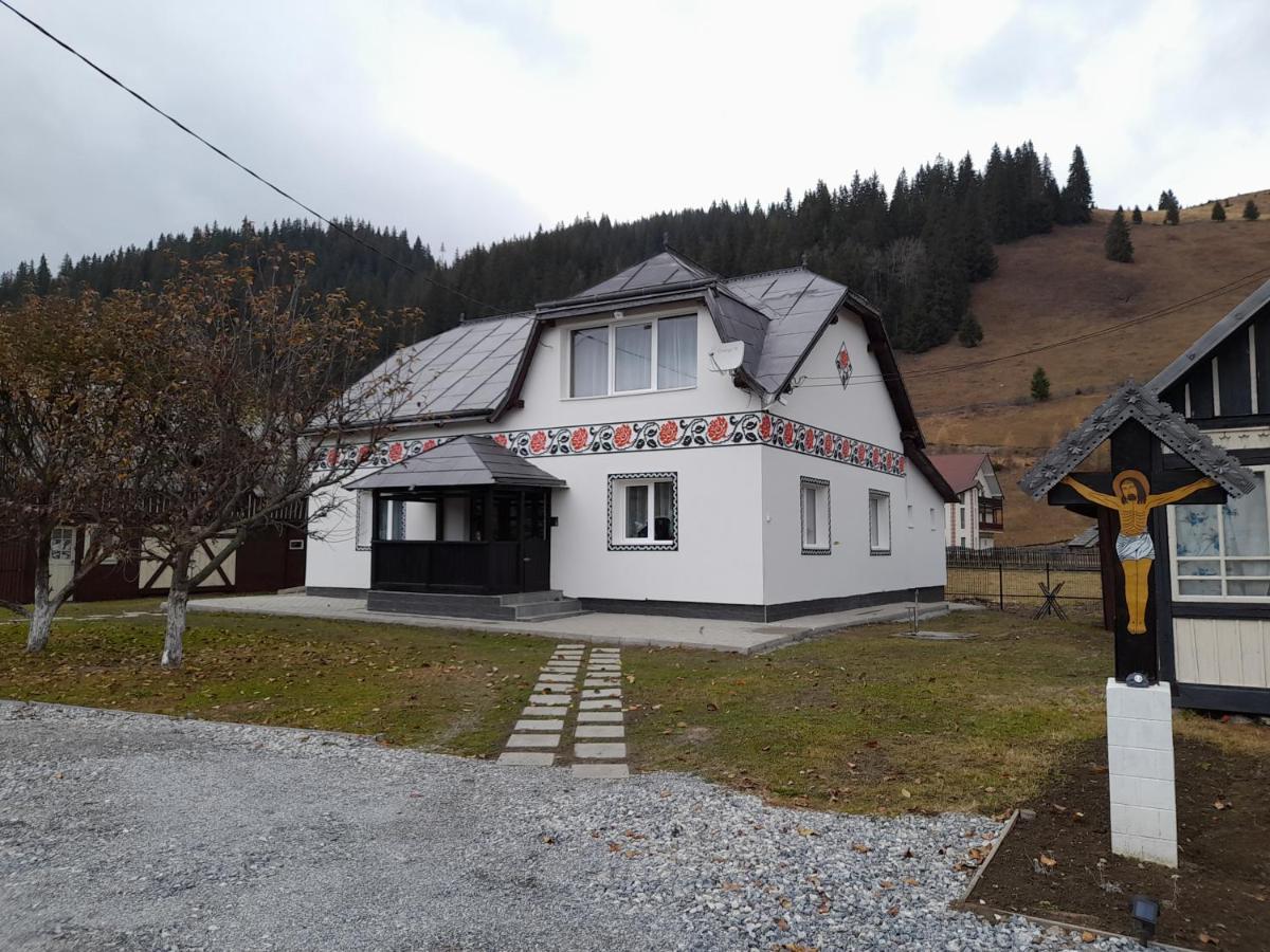Villa Casa Dumitru si Elena Ciocanesti Exterior foto
