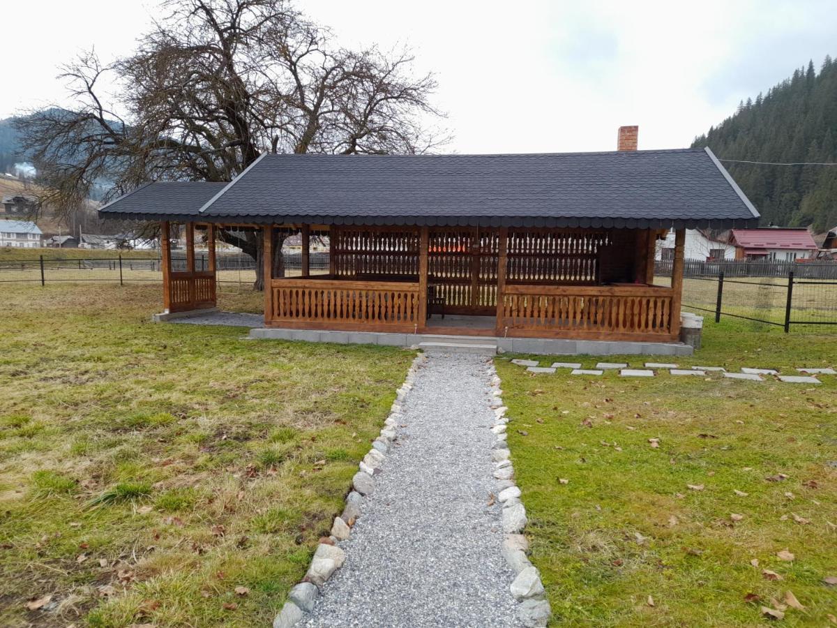 Villa Casa Dumitru si Elena Ciocanesti Exterior foto