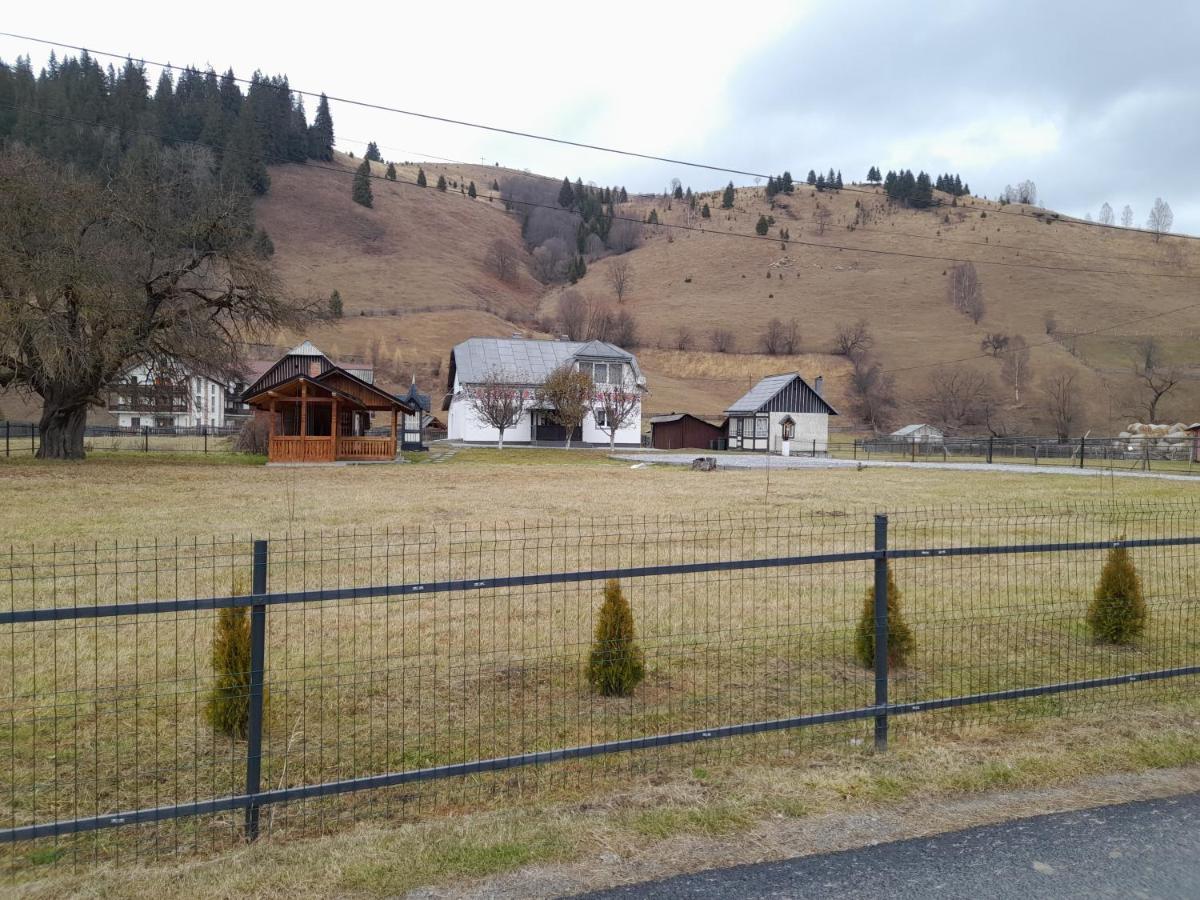 Villa Casa Dumitru si Elena Ciocanesti Exterior foto
