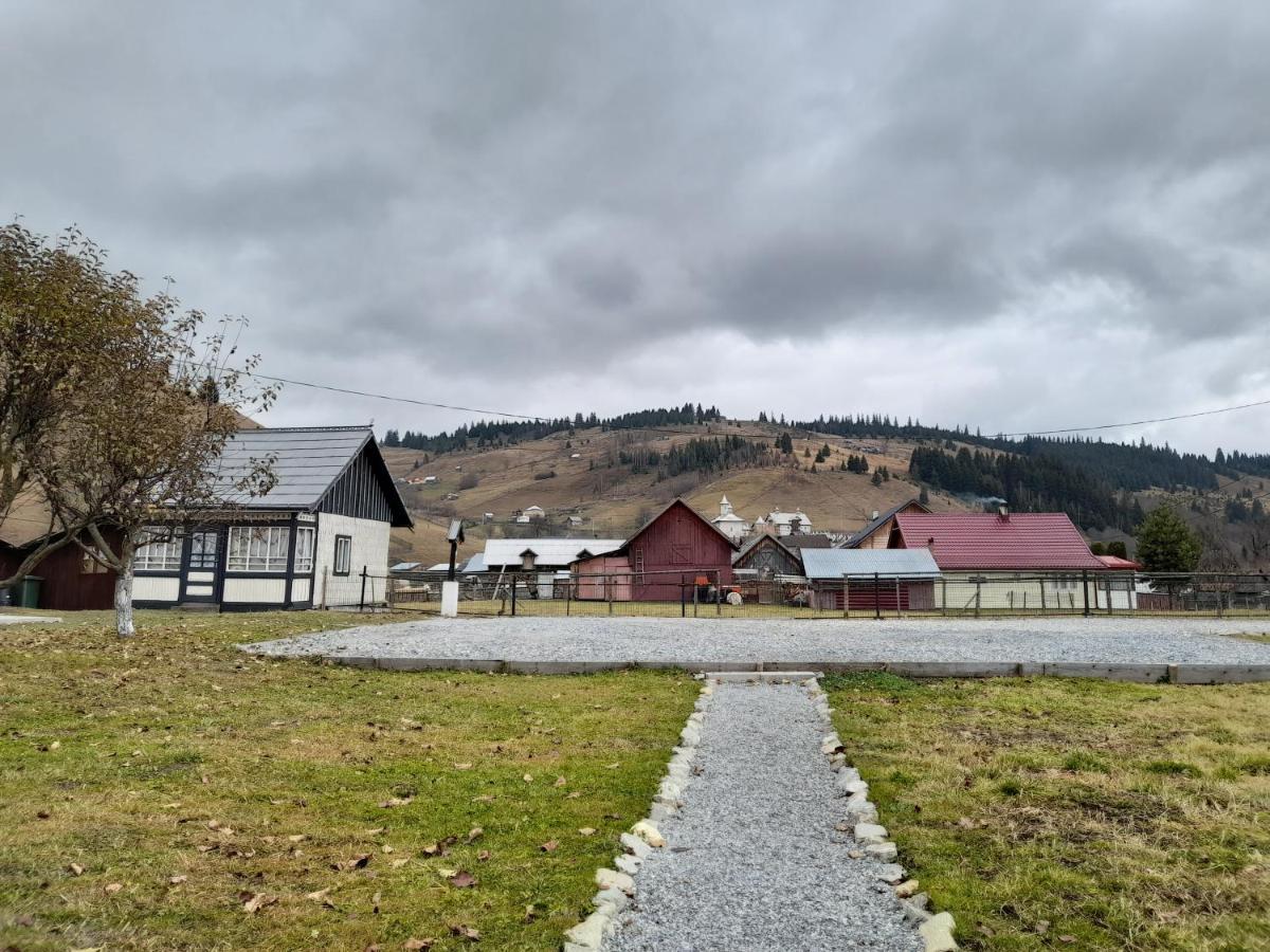 Villa Casa Dumitru si Elena Ciocanesti Exterior foto