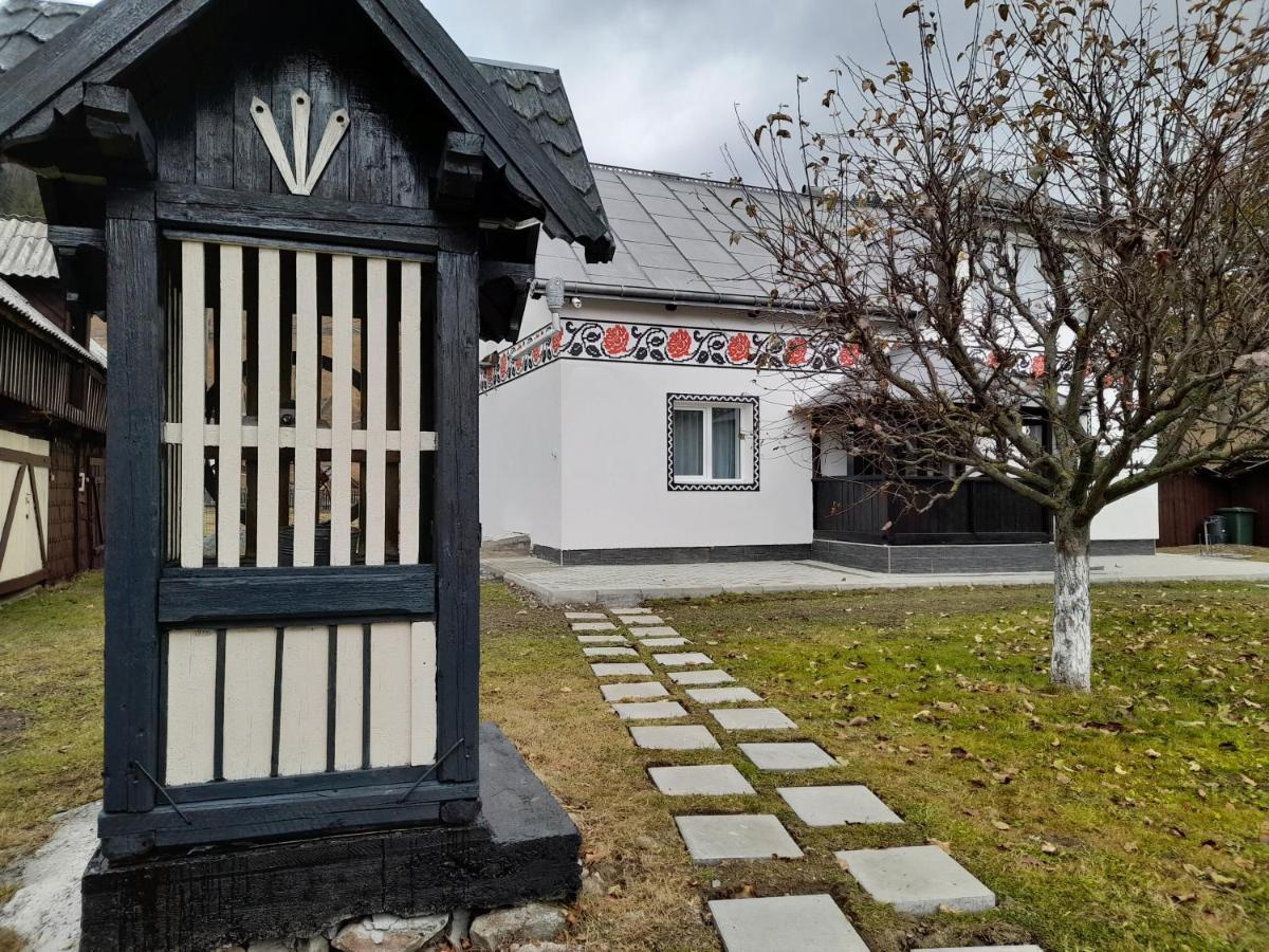 Villa Casa Dumitru si Elena Ciocanesti Exterior foto