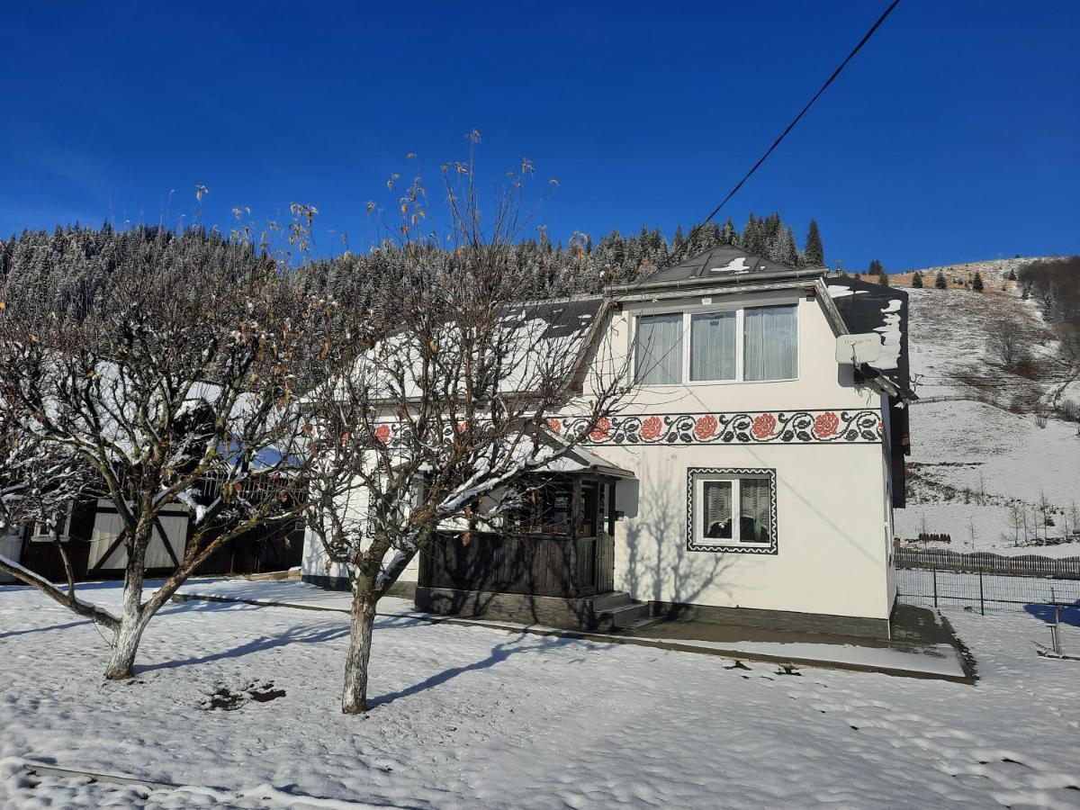 Villa Casa Dumitru si Elena Ciocanesti Exterior foto