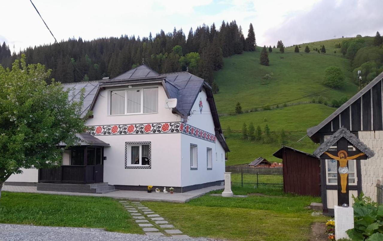 Villa Casa Dumitru si Elena Ciocanesti Exterior foto