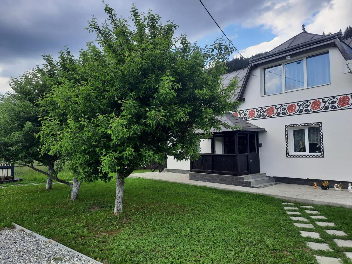 Villa Casa Dumitru si Elena Ciocanesti Exterior foto