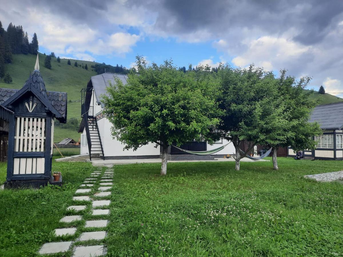 Villa Casa Dumitru si Elena Ciocanesti Exterior foto