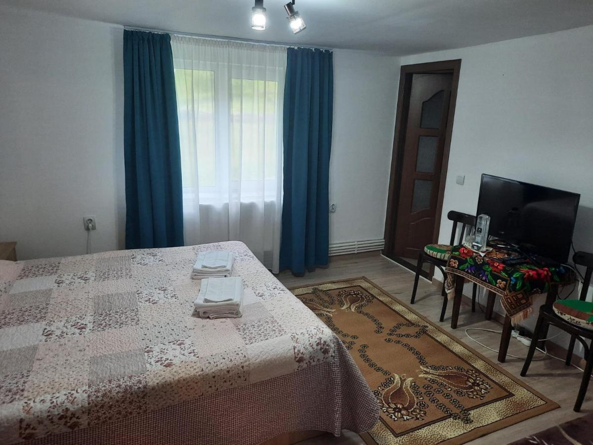 Villa Casa Dumitru si Elena Ciocanesti Exterior foto