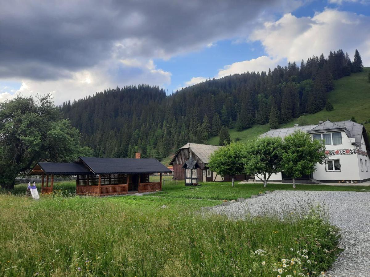 Villa Casa Dumitru si Elena Ciocanesti Exterior foto