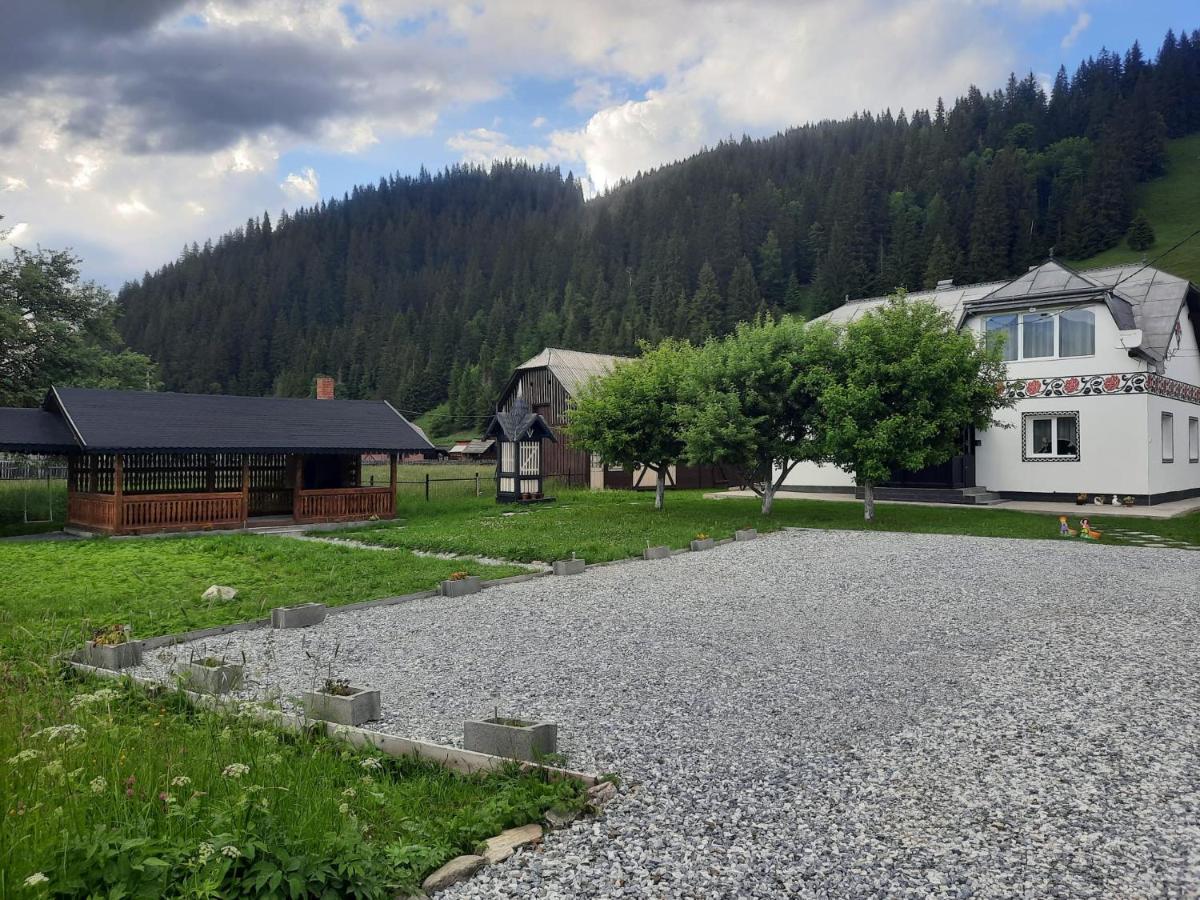 Villa Casa Dumitru si Elena Ciocanesti Exterior foto