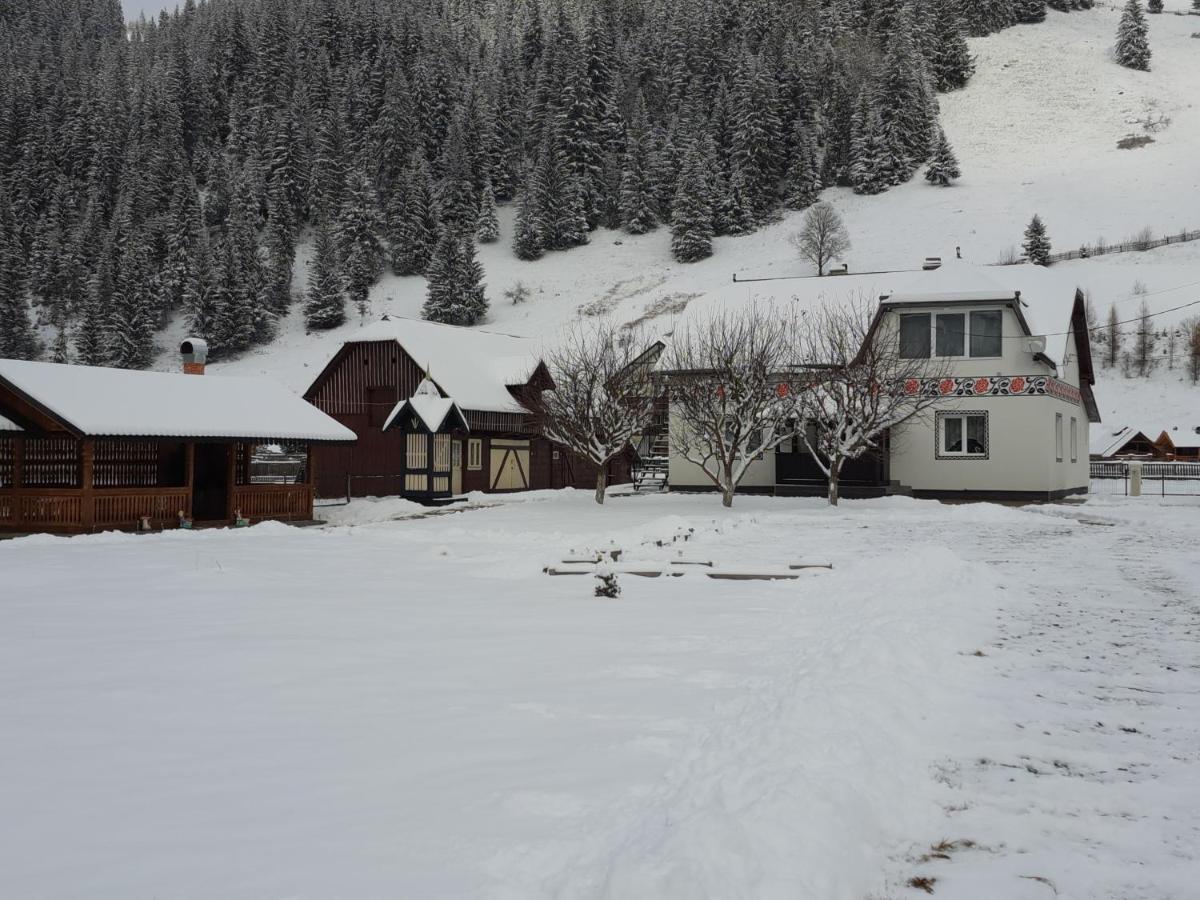 Villa Casa Dumitru si Elena Ciocanesti Exterior foto